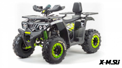 Квадроцикл MOTOLAND (МОТОЛЕНД) 200 WILD TRACK LUX A