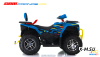 Квадроцикл GBM CRONOS 420 4WD EFI с ПСМ