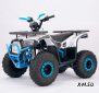 Квадроцикл  YACOTA SIRIUS 110			 			