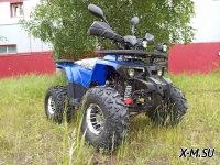 КВАДРОЦИКЛ PROMAX WILD 180 PRO
