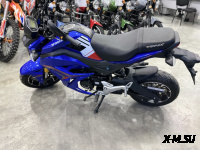 Мотоцикл PROMAX STRYKER 200(49) Синий